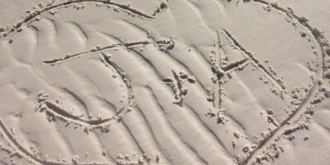 amyshills's profile banner image