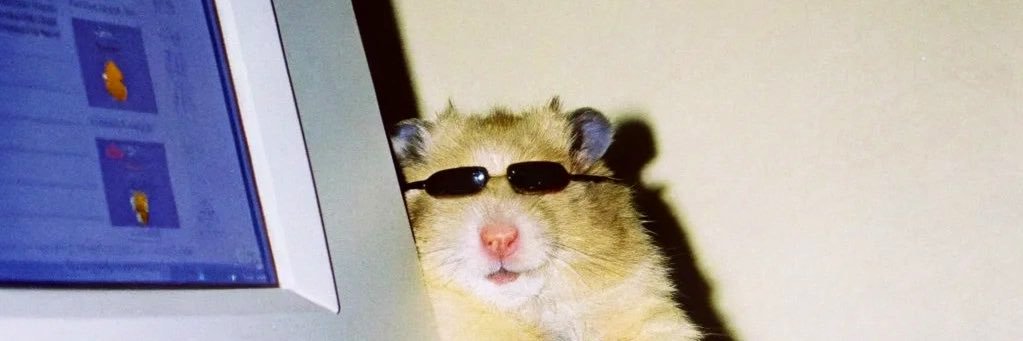morgawilla's profile banner image