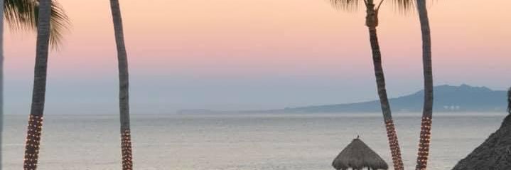 dhanzl's profile banner image