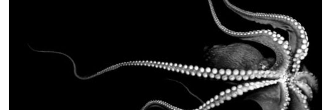 iToshh's profile banner image
