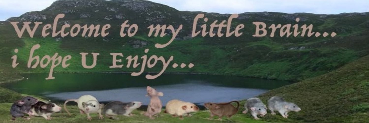 bitchflayer's profile banner image