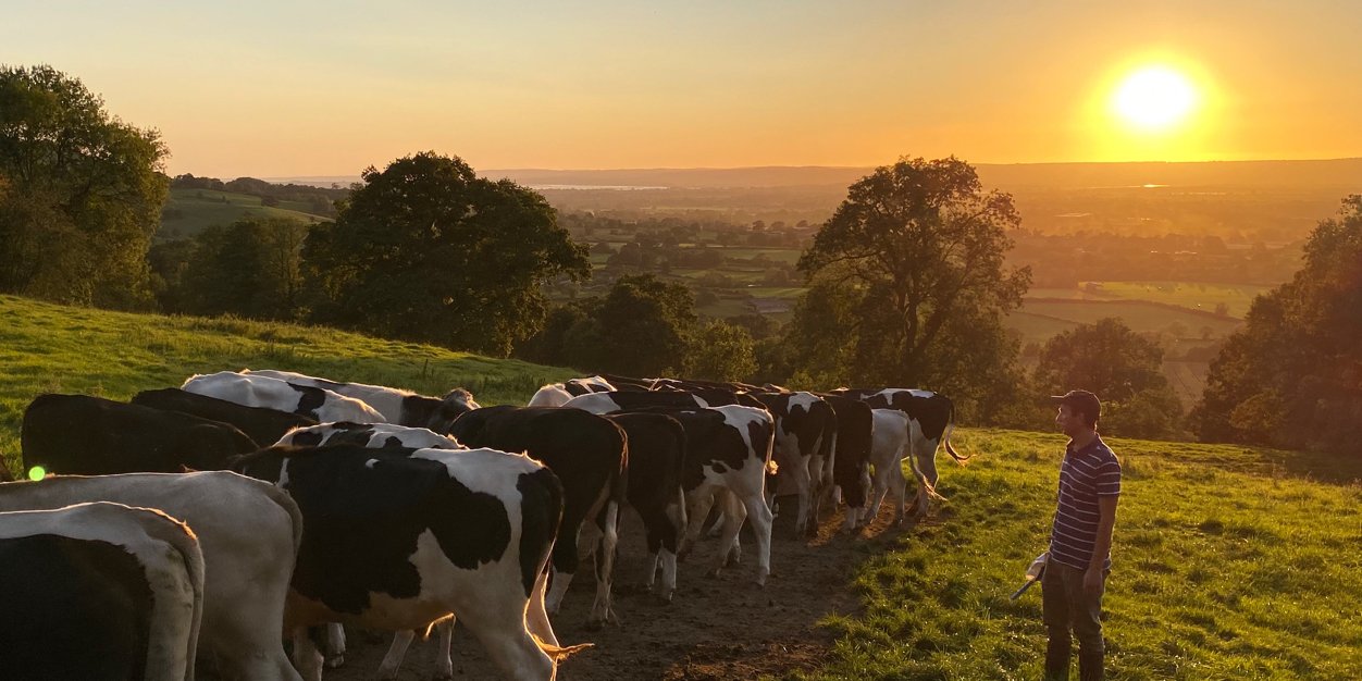 David Ractliffe banner