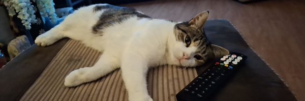 xGlitzyRitzyx Profile Banner