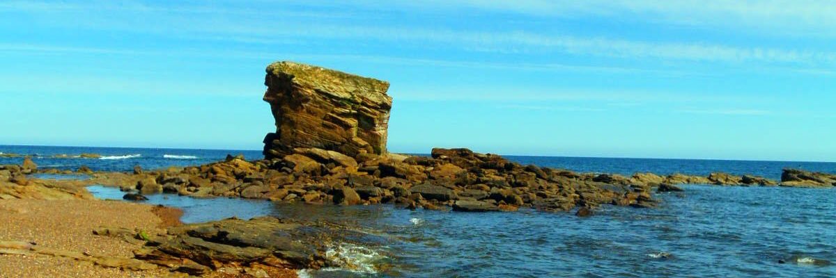 AndyFahey's profile banner image