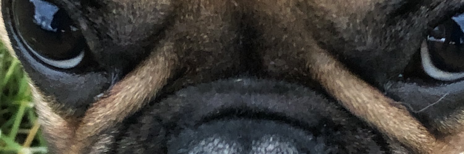 KristieFrench's profile banner image