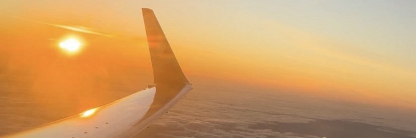 Nathasha livia banner