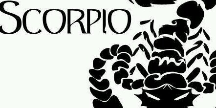 BigPrimo37's profile banner image