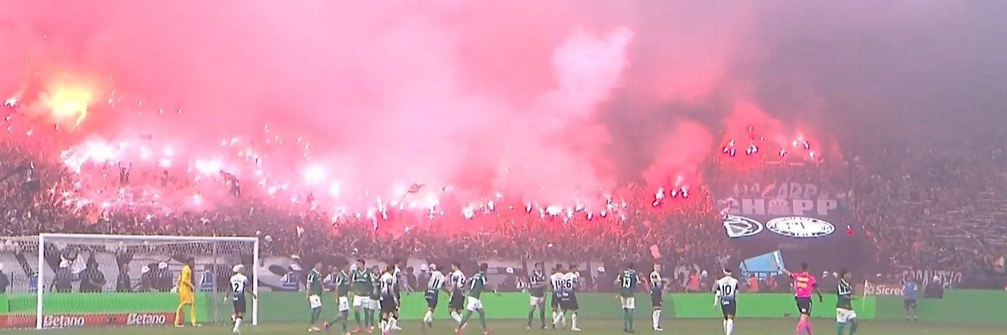 Zé gotinha banner