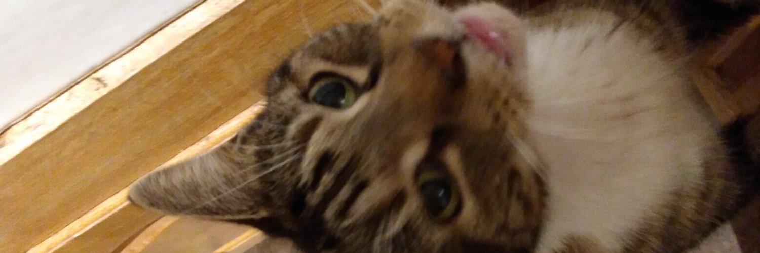 twitsfg's profile banner image