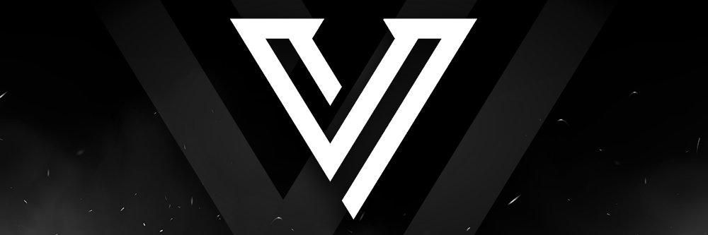 Vizeo Esports banner