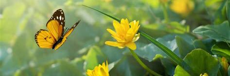 rashellebee's profile banner image