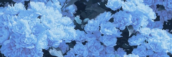 403escape's profile banner image