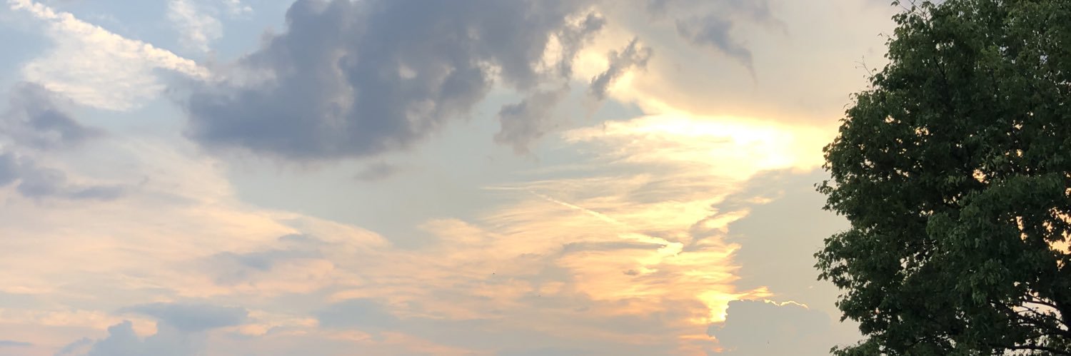 indiasdem's profile banner image