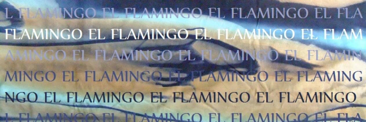 elflamingo7's profile banner image