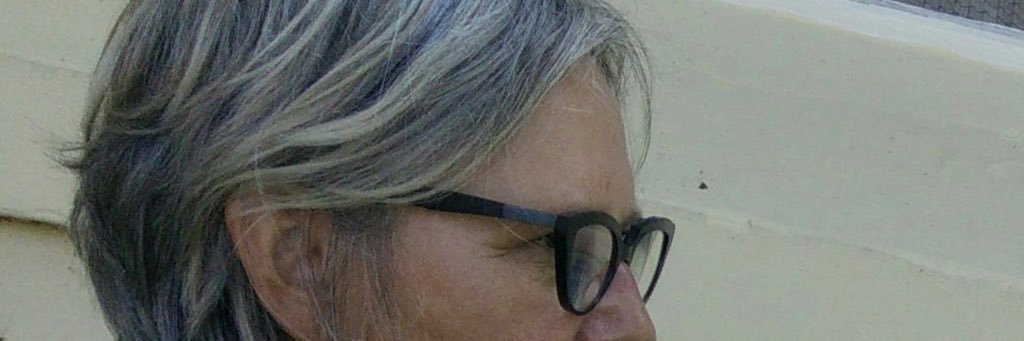 trijntjevos's profile banner image
