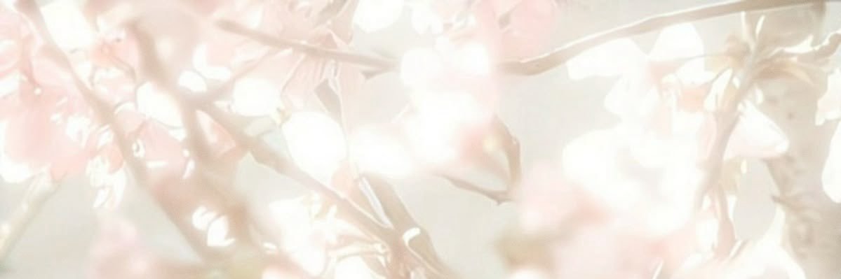 𑣲swannoierQSMP banner