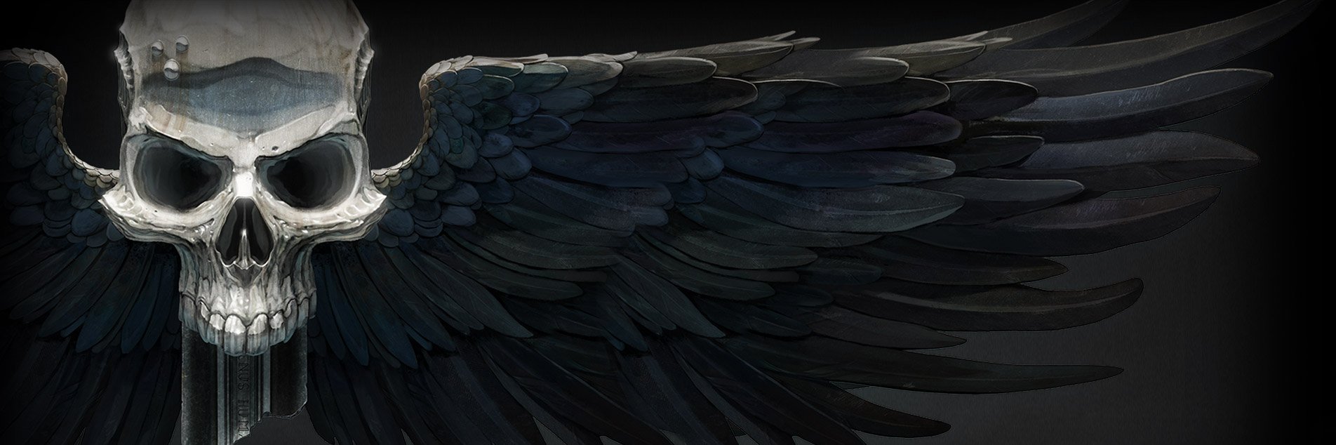 evanswolves's profile banner image