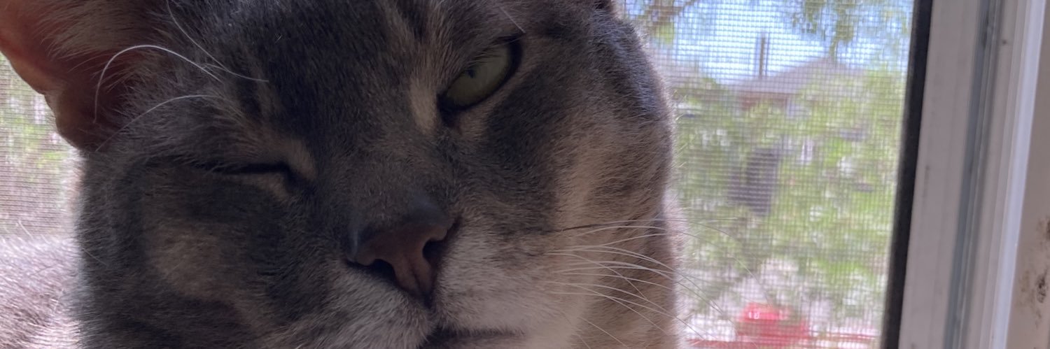 Satanspys's profile banner image