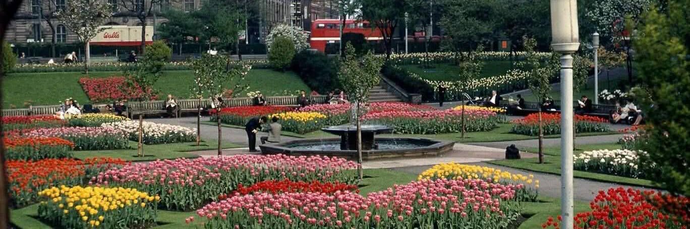 Restore GE29 🇬🇧 banner