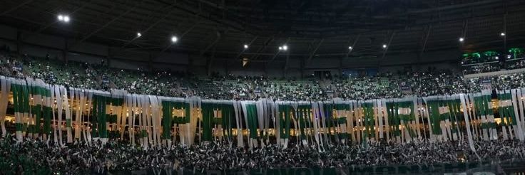 SEP Girls banner