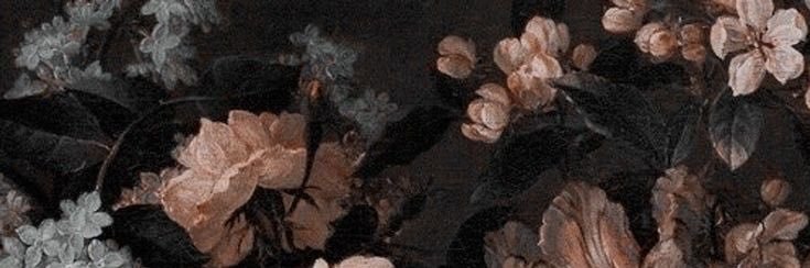 Princess Ivy 𐙚 banner