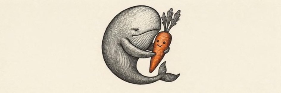 the orange carrot 🥕 banner