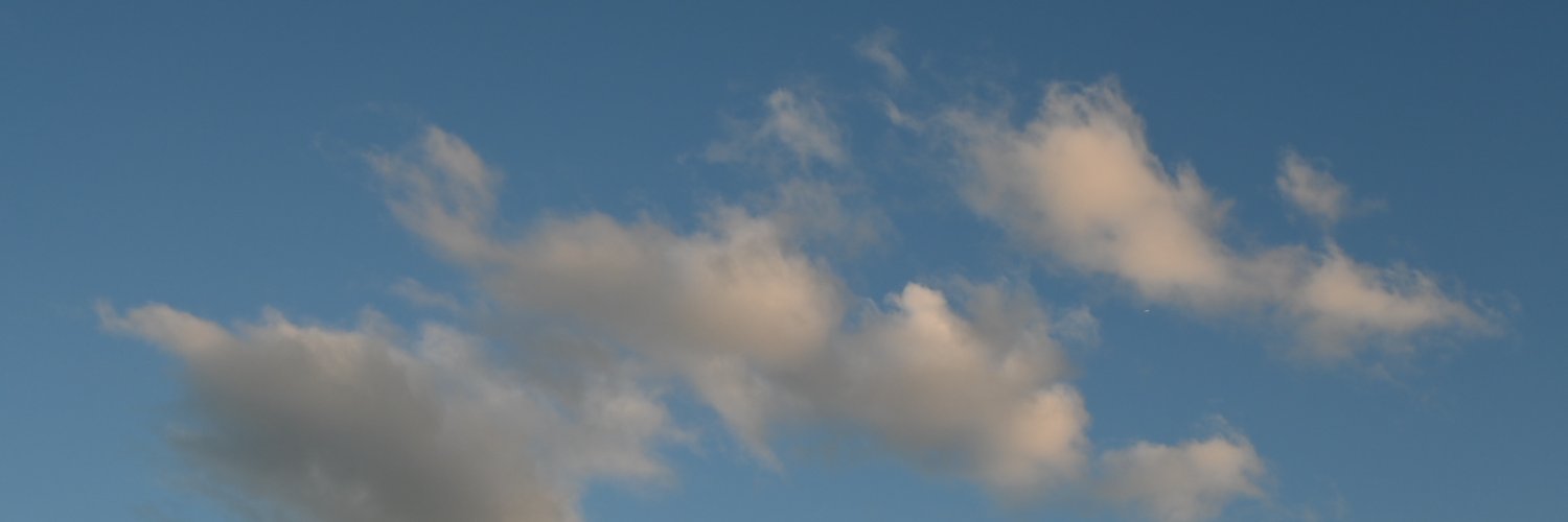 Mitch banner