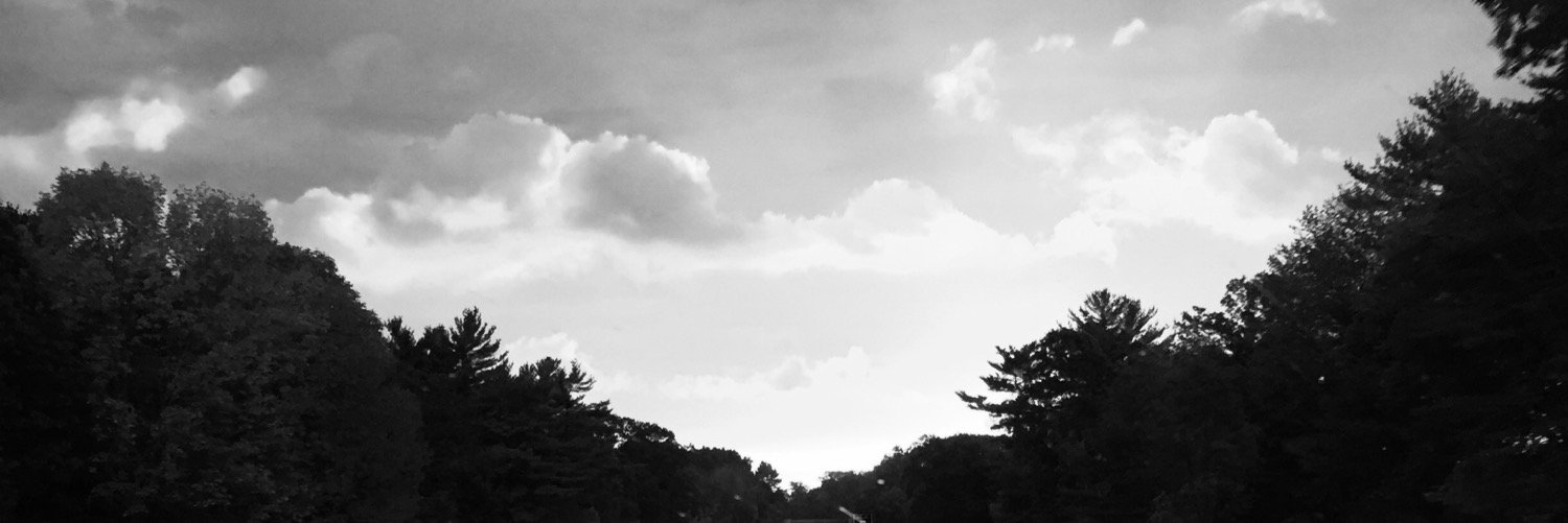 Lynn D. Wilson, MD banner