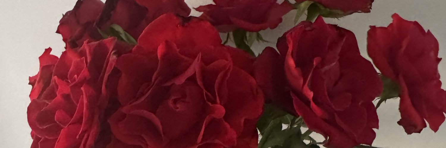 seenabeena's profile banner image