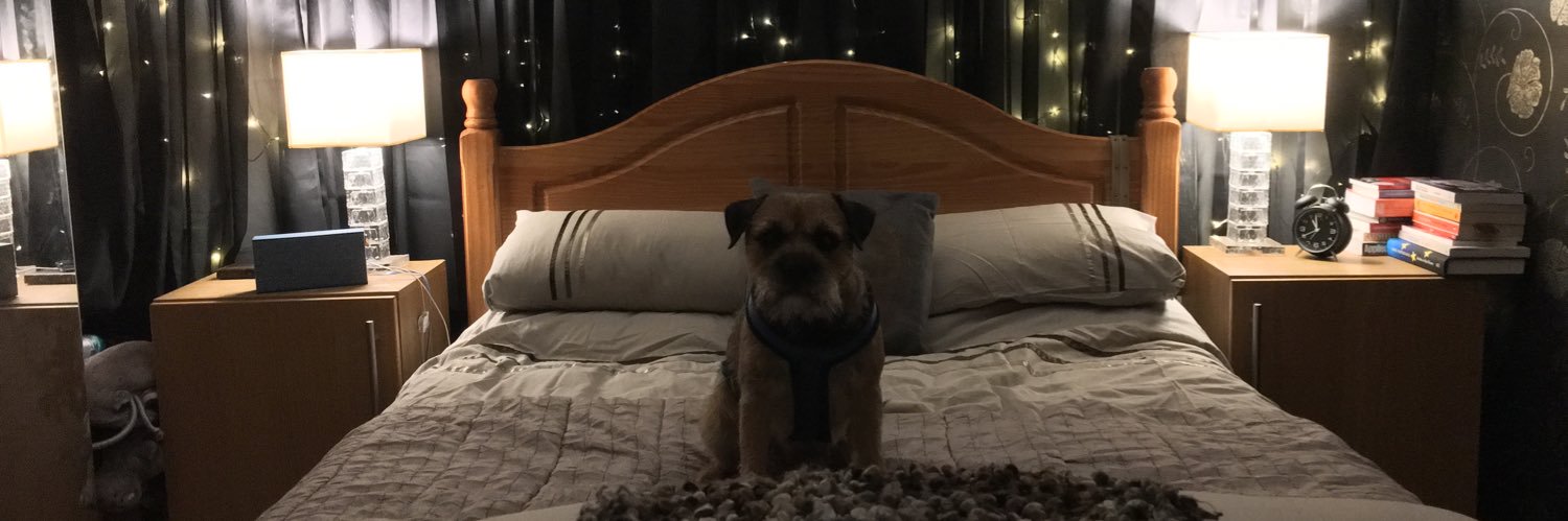 Friseal Raibeart Milne 🏳️‍🌈 banner