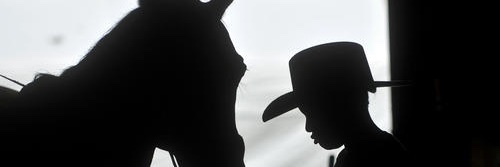 msseelliot's profile banner image