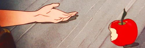 zebrandao's profile banner image