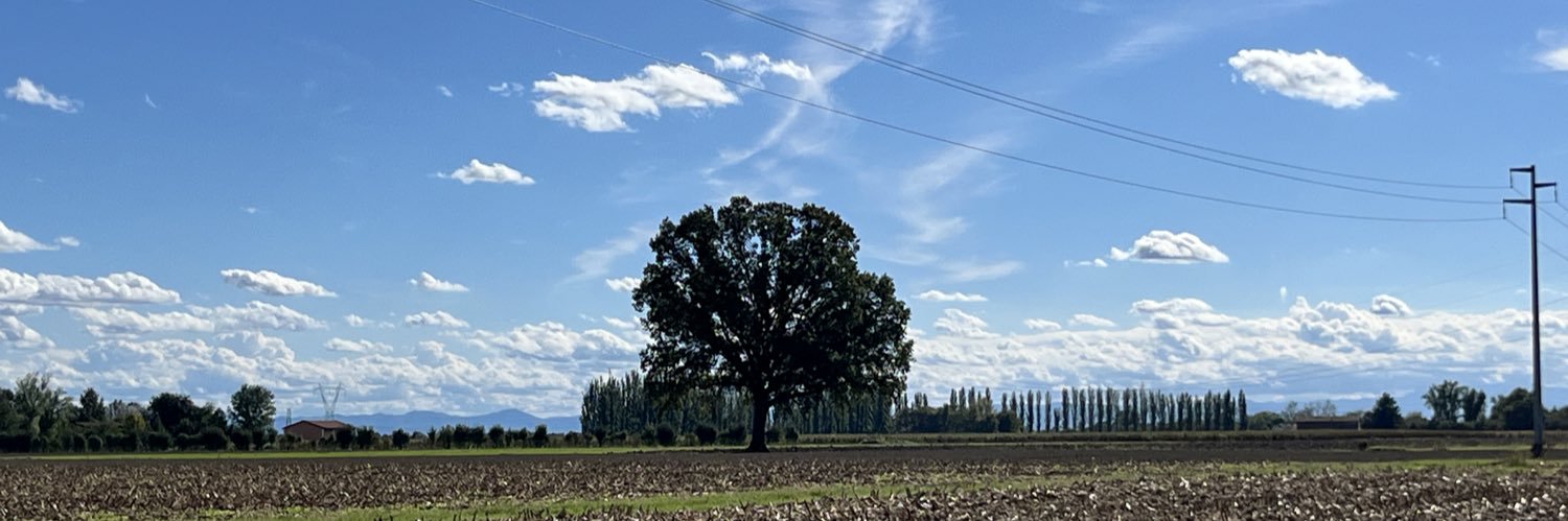 Daniela Monelli banner
