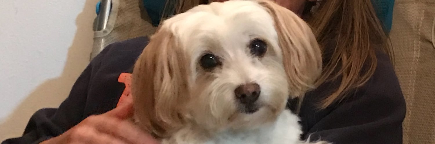 evacandano's profile banner image