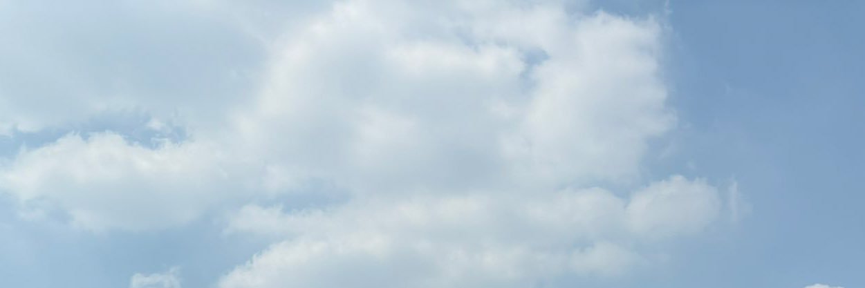 🐻‍❄️ banner