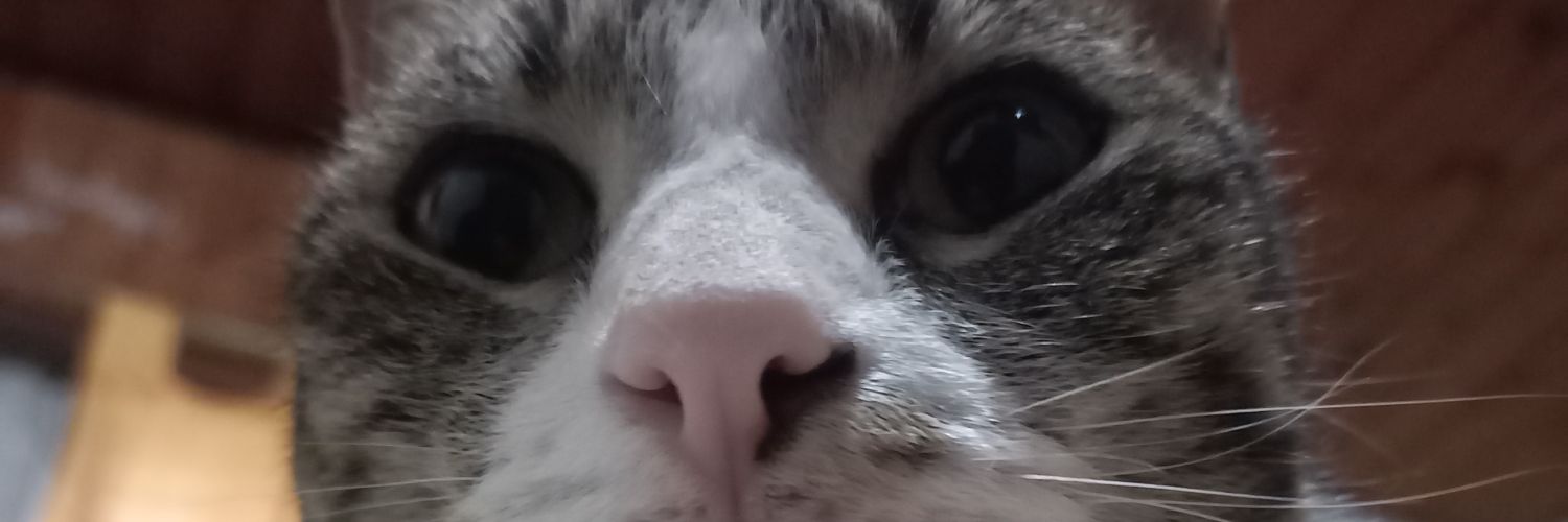 melicaceress_'s profile banner image