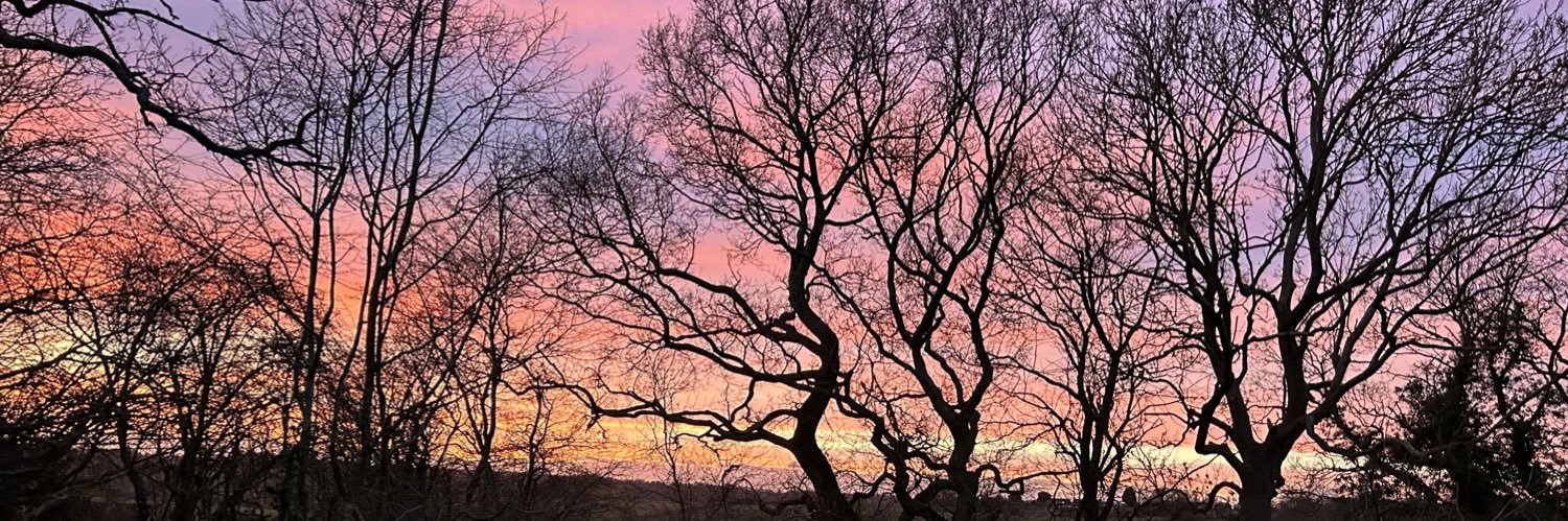 sallylamb's profile banner image
