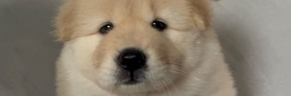integritynini's profile banner image