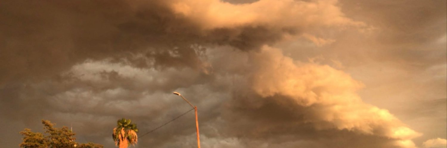 Avalos 🕷️ banner