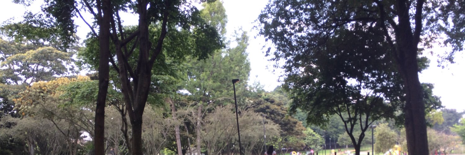 PaODortiz's profile banner image