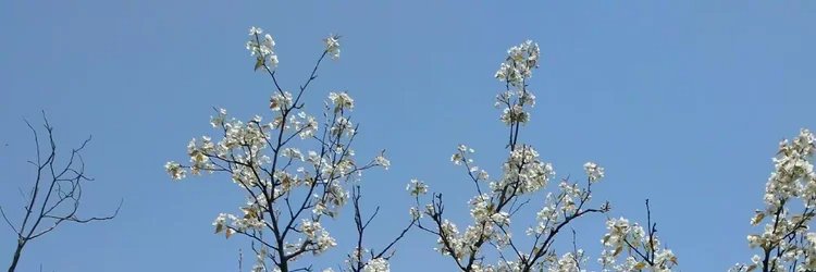 タカシおじさん banner