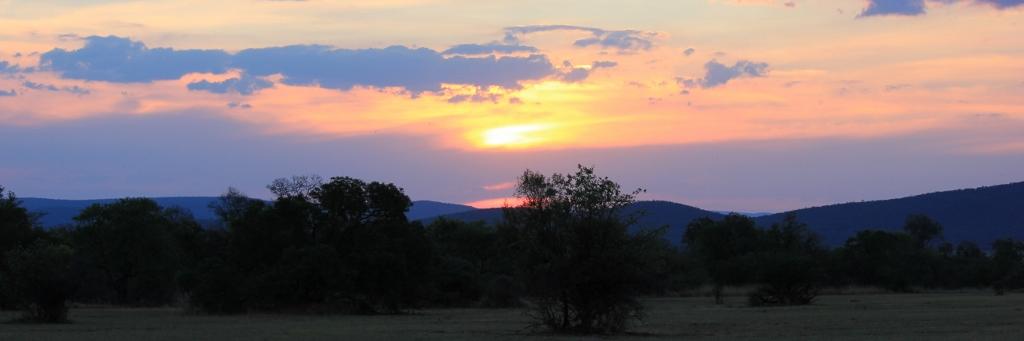 Ruwayne Kock banner