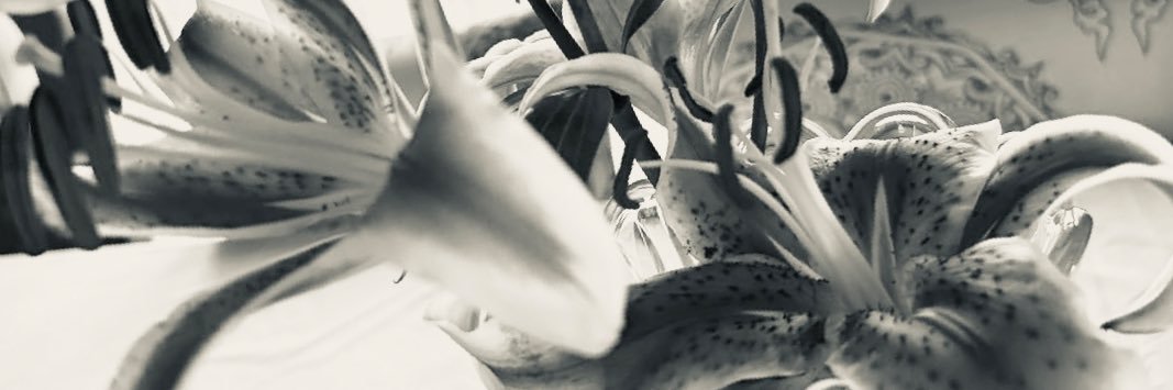 girl who talks a lot banner