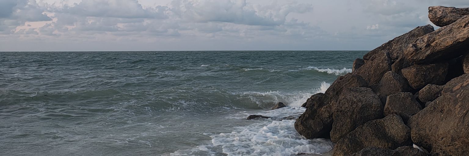 Miguel Gaspar banner