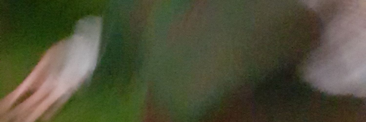 lucyannebridge's profile banner image