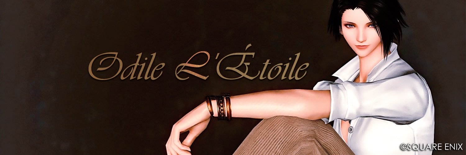 odile_dnc's profile banner image