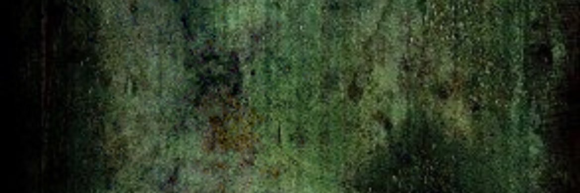 zombie banner