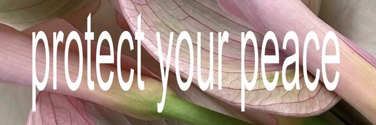 rofocaine's profile banner image