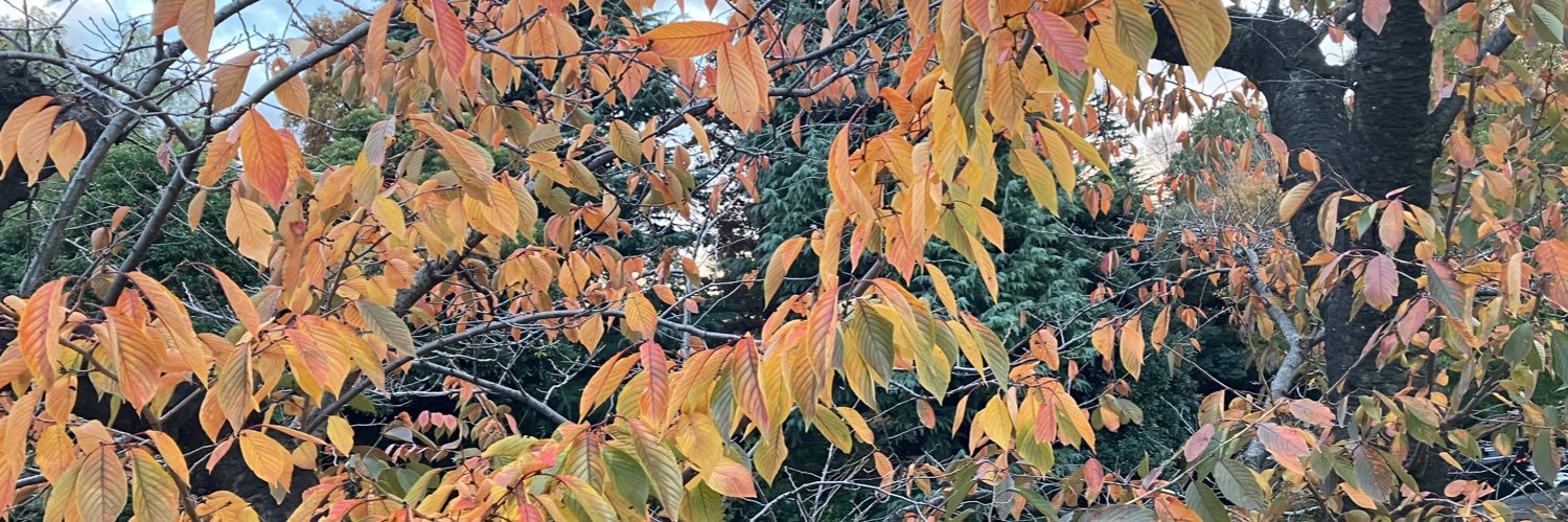だすの募集垢 banner