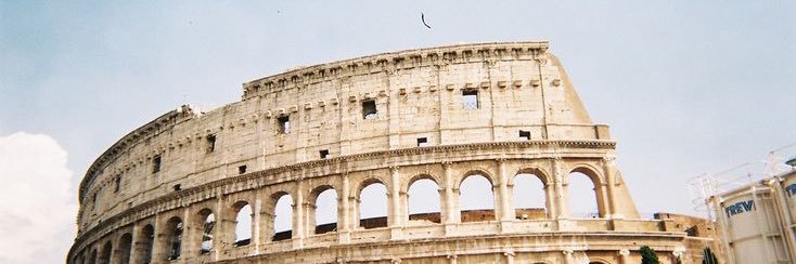 sasha banner